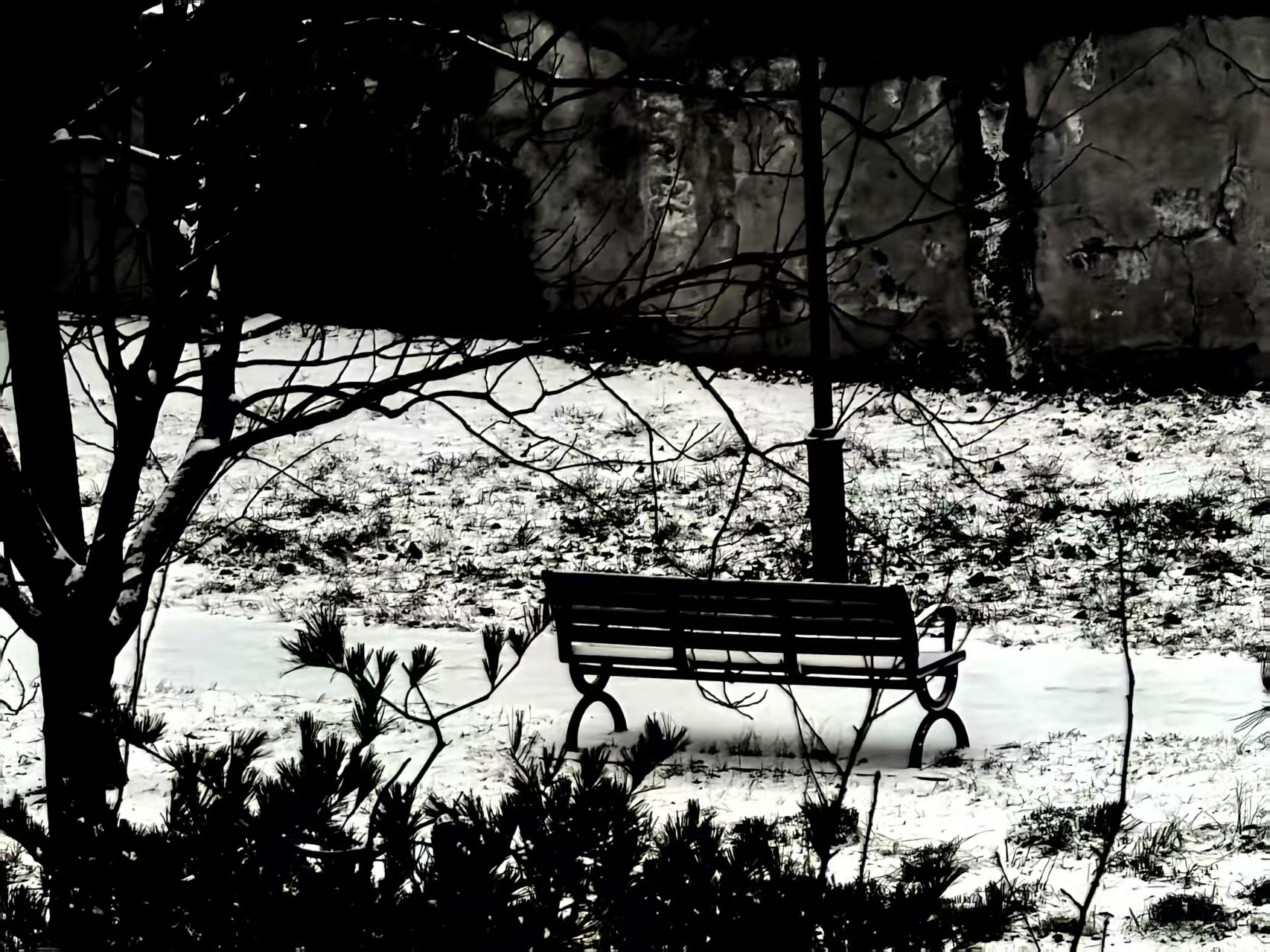 公寓北面空地大雪